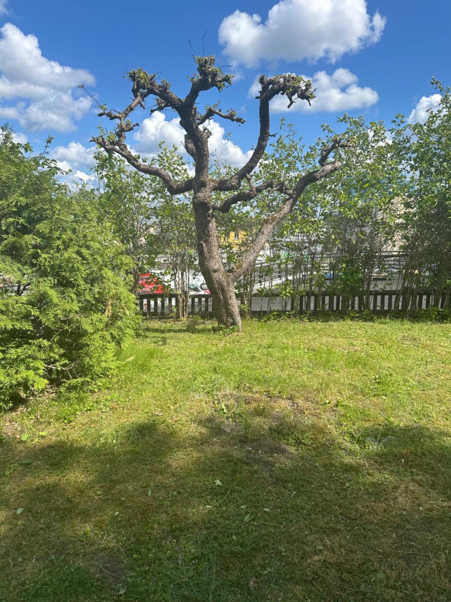 Villa Nordic